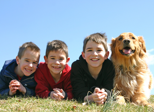 Three boys lying down on the grass with their happy dog