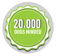 20000 dogs minded