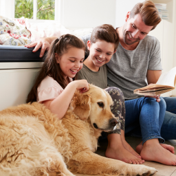 Top 3 Reasons To Get Pet Insurance