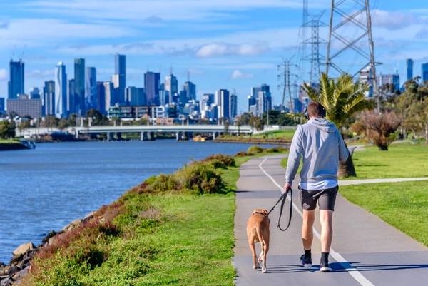 Top 5 Places to Go with Your Dog in Brisbane