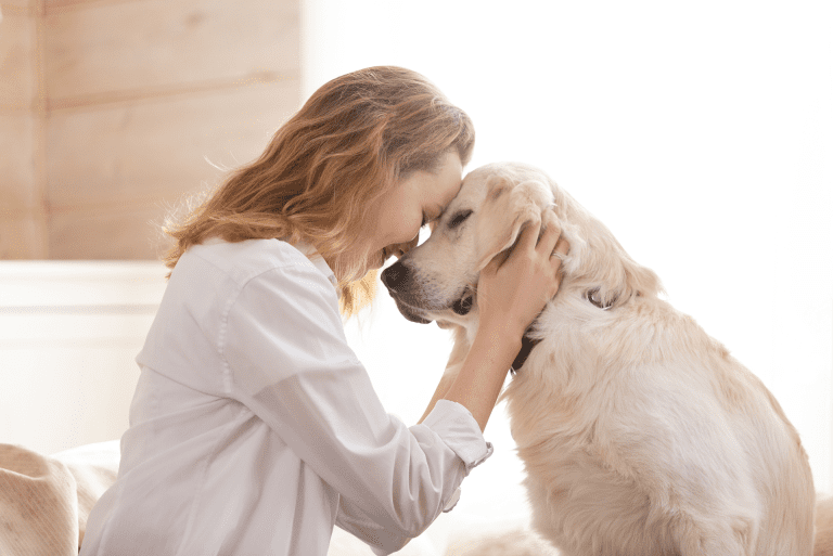 Benefits of Owning a Pet