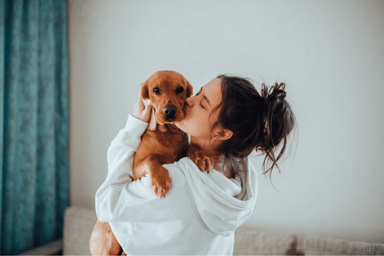 Tips From Pet Lovers on the Best Ways to Show your Pet You Love Them
