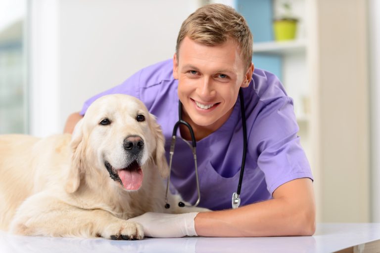 Common Pet Insurance Myths in Australia Explained