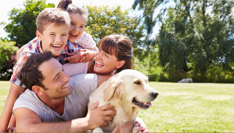 Top-Rated Family Dogs