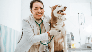 How Much Are Dog Vaccinations?