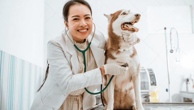 How Much Are Dog Vaccinations?