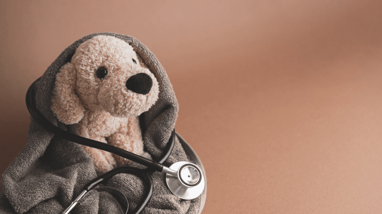 Why Fortnightly Payments Make Pet Insurance More Affordable