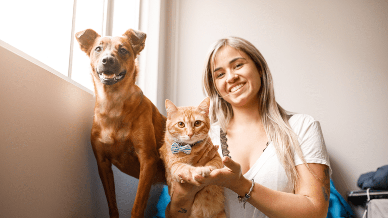 A Simple Guide to Choosing the Right Pet Insurance
