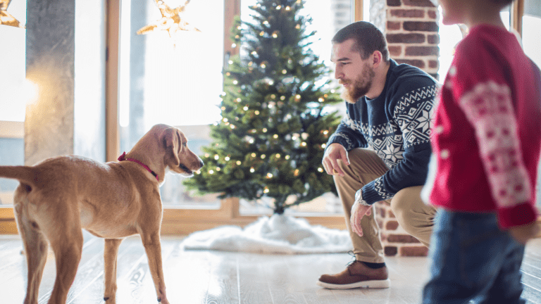 Holiday Season Tips: Managing Guests & Stress When You’ve Got Pets