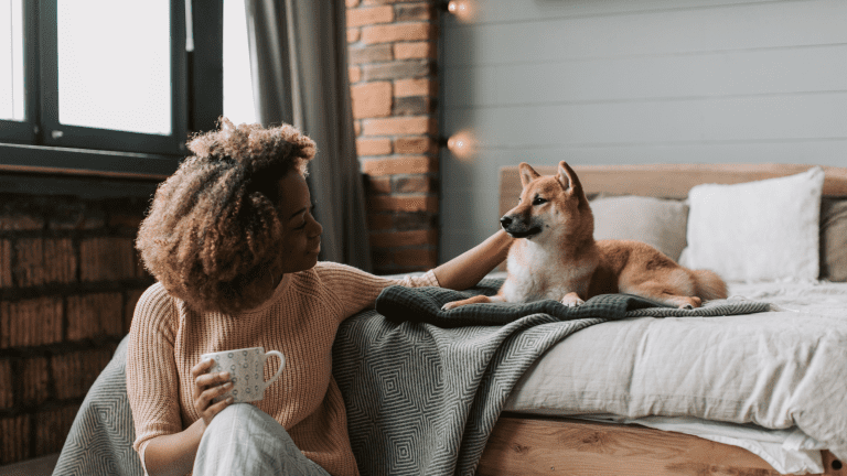 How to Read a Pet Insurance Product Disclosure Statement (PDS)