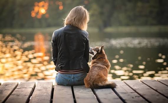 The Science of the Human-Animal Bond: Why Pets Lower Our Stress
