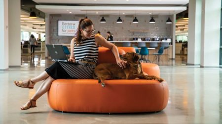 What Makes the Best Mid-Cover Dog Insurance? 8 Features That Matter