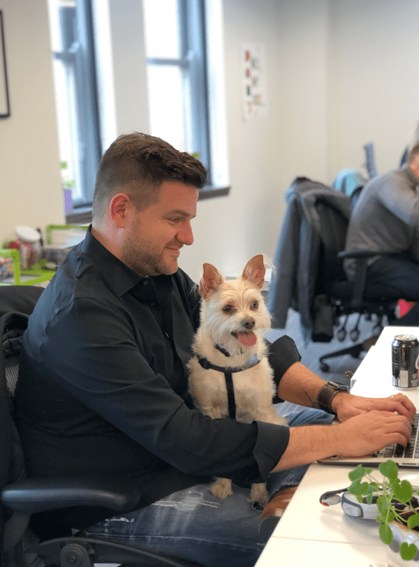 Does Pet Insurance Cover Surgery? What Australian Dog Owners Should Know