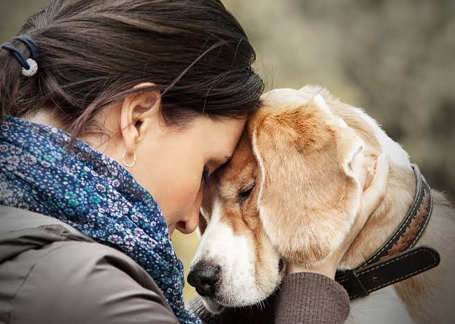 Supporting Yourself and Your Family Through Pet Loss