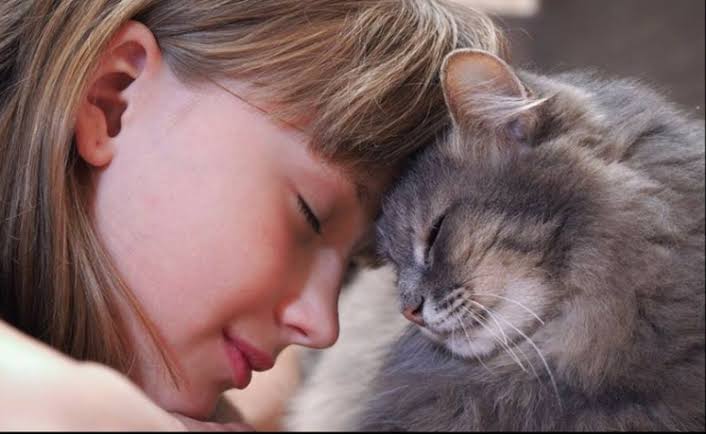 What Your Cat Is Telling You When They Knead, Chirp and Head-Bump